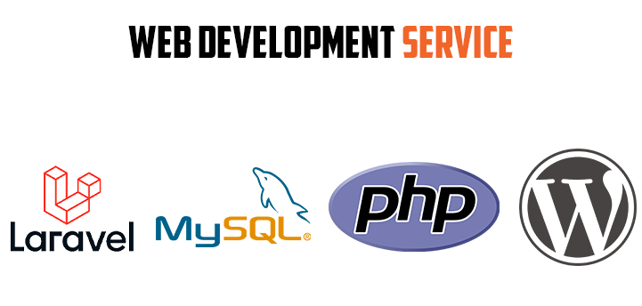 06 Web development service