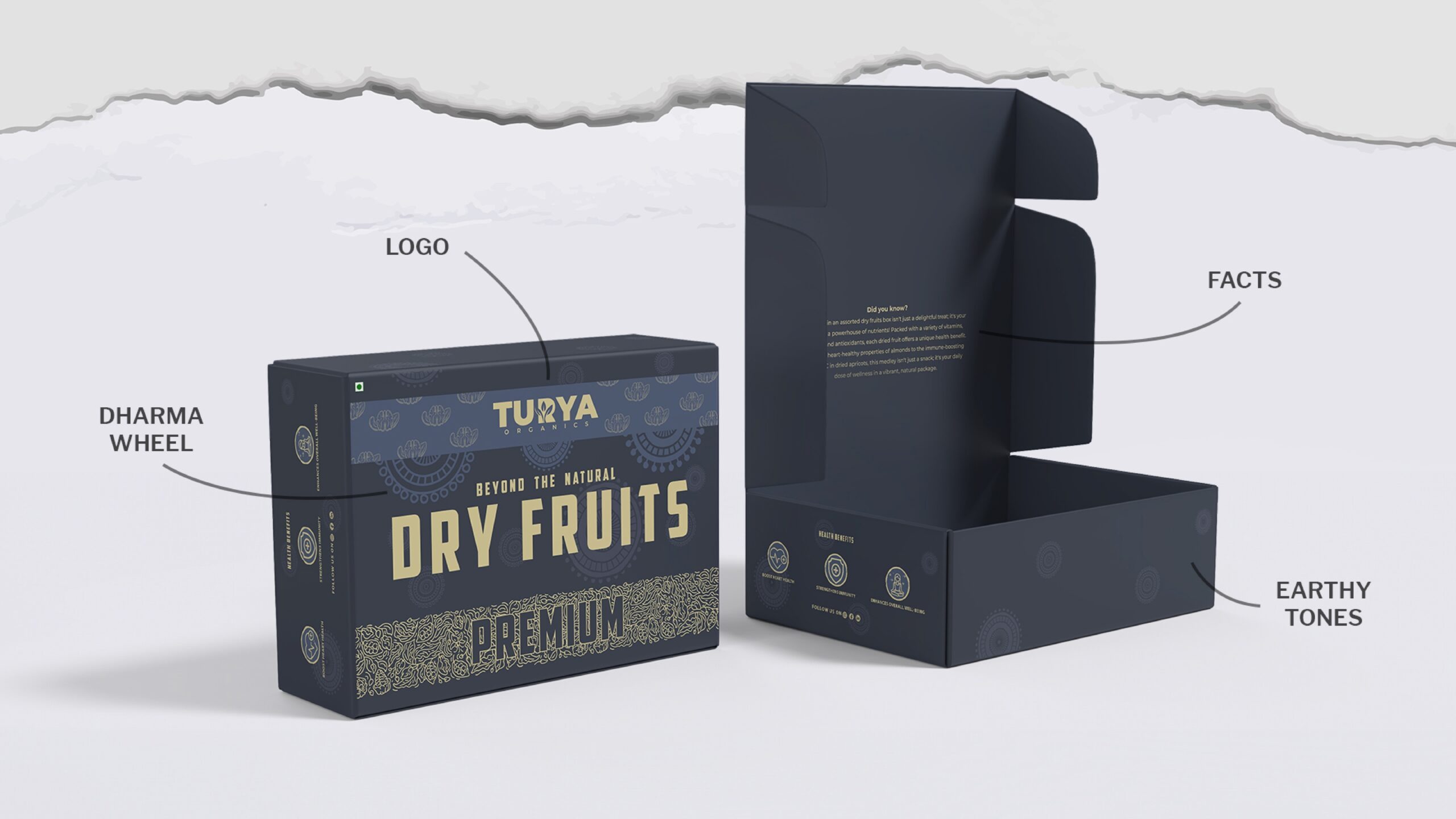 imgi_16_Turya-X-Sociovert-PDF_page-0013-scaled