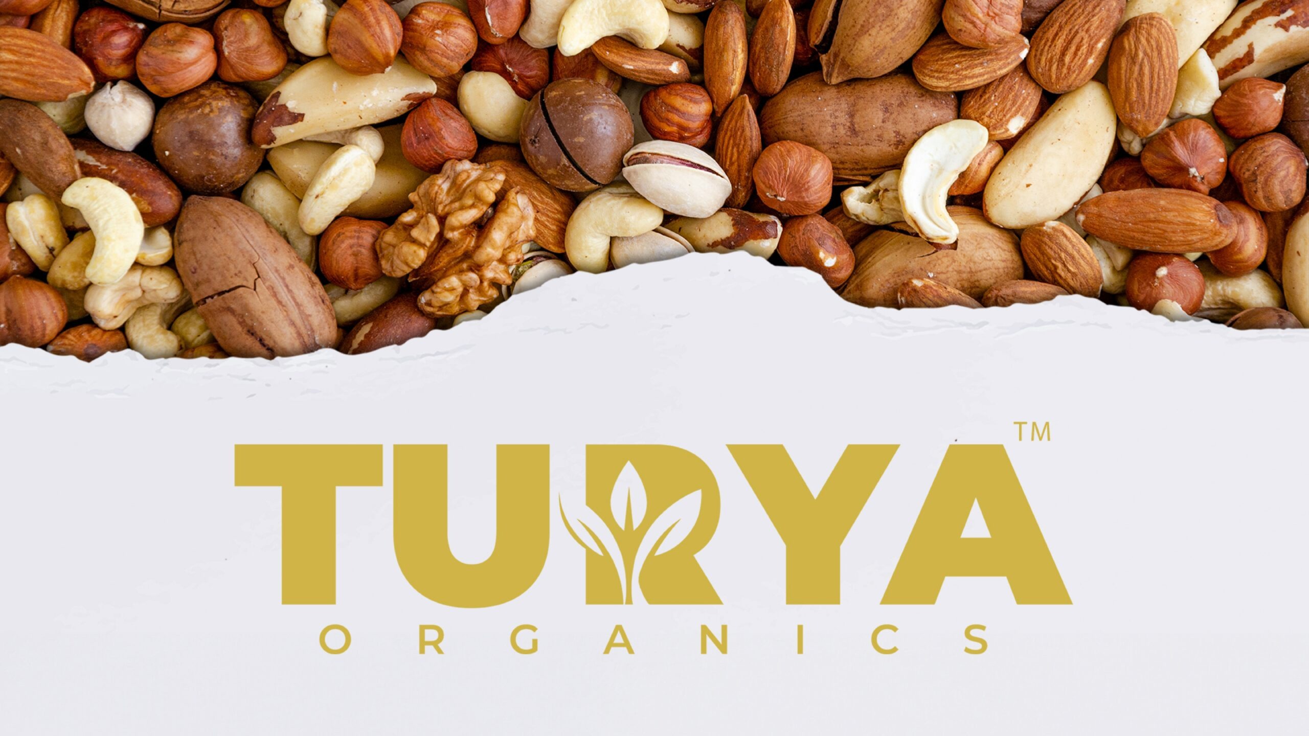 imgi_5_Turya-X-Sociovert-PDF_page-0002-scaled