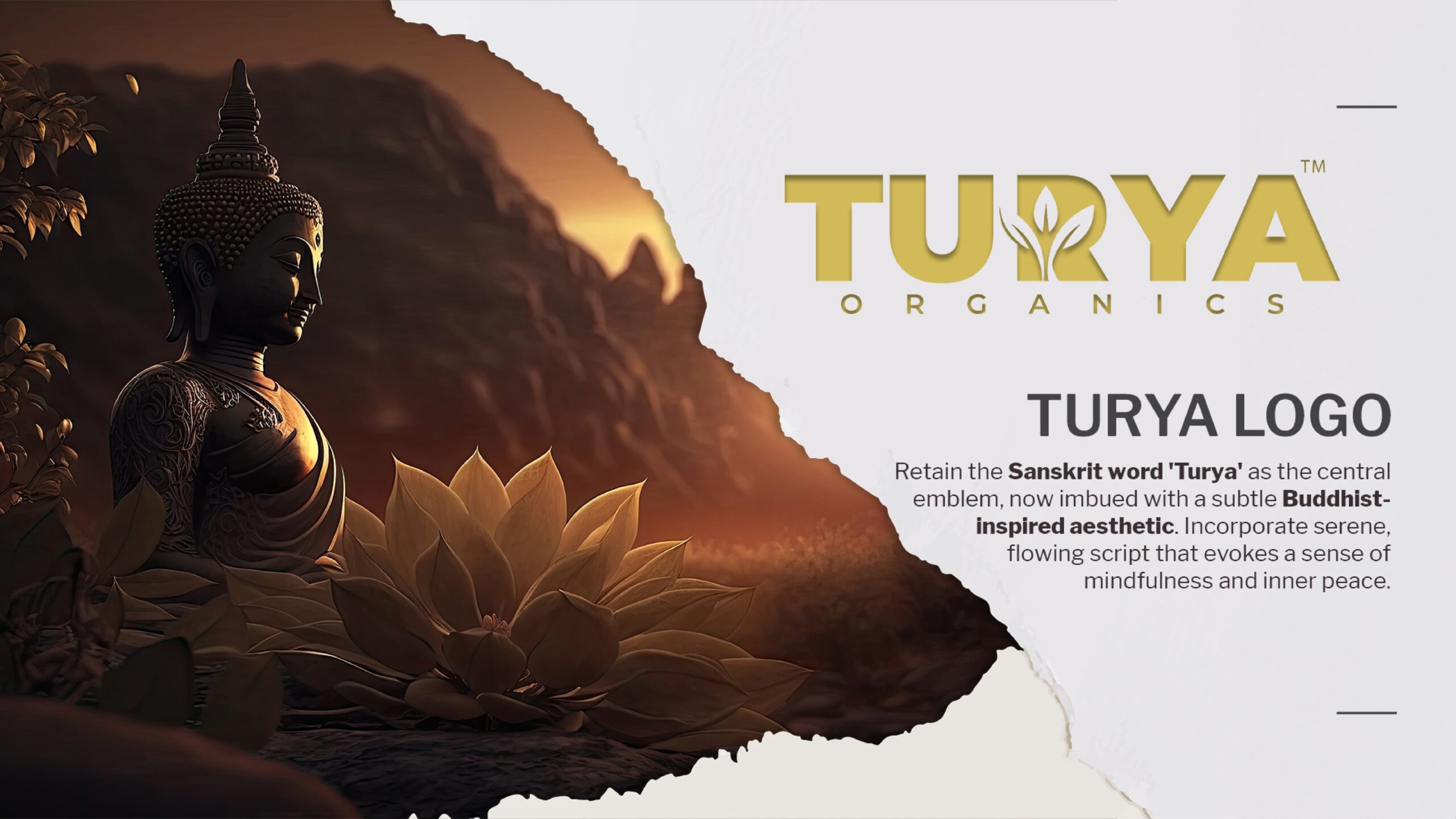 imgi_7_Turya-X-Sociovert-PDF_page-0004-scaled